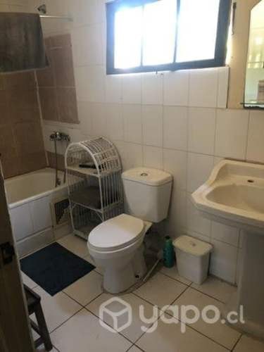 Imagen de galería