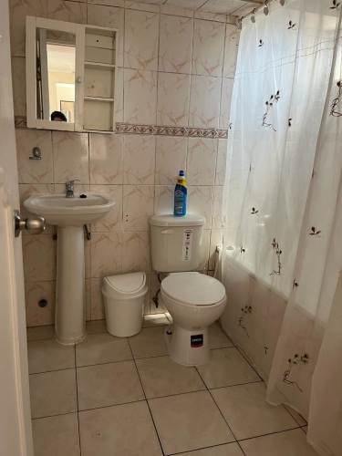 Imagen de galería