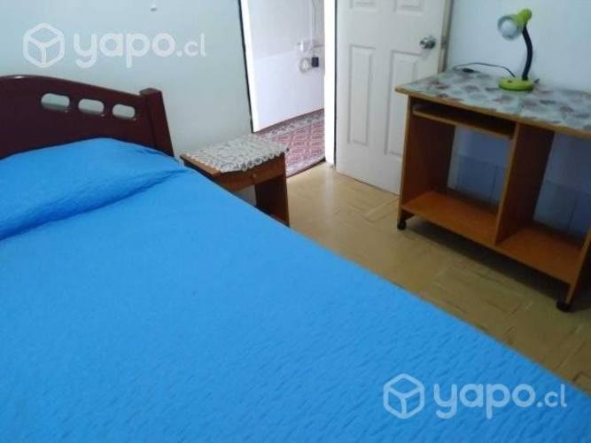 <p>Universitario-a pieza</p> image