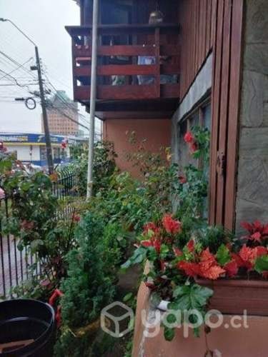 Imagen de galería