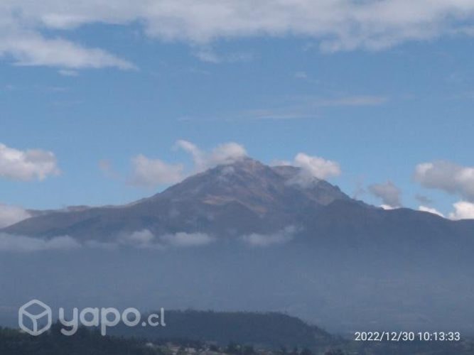 <p>Busco pieza en valdivia</p>