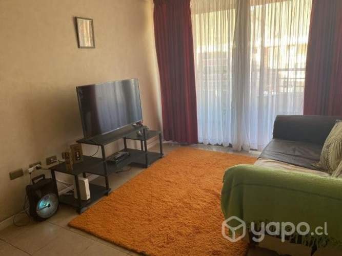 <p>Comparto Departamento</p>