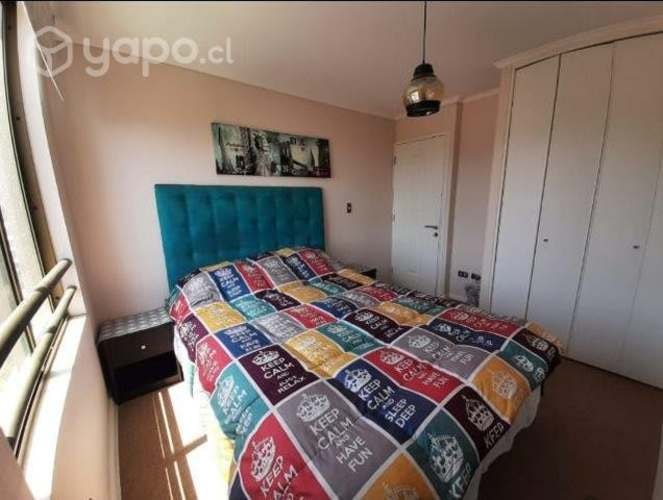 <p>Arriendo Habitación en Viña del Mar</p>