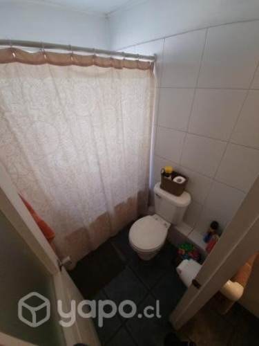 Imagen de galería