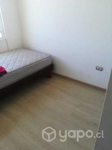 Imagen de galería