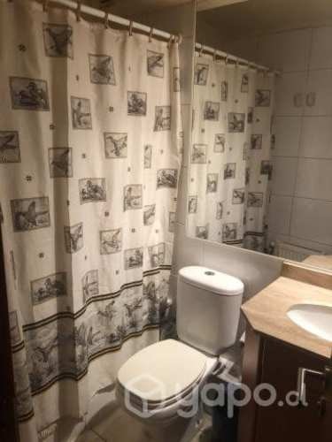 Imagen de galería
