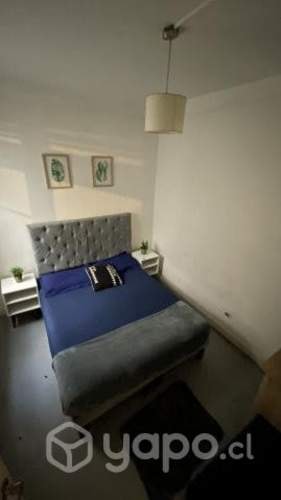 <p>Floresta Bed and Breakfast</p>