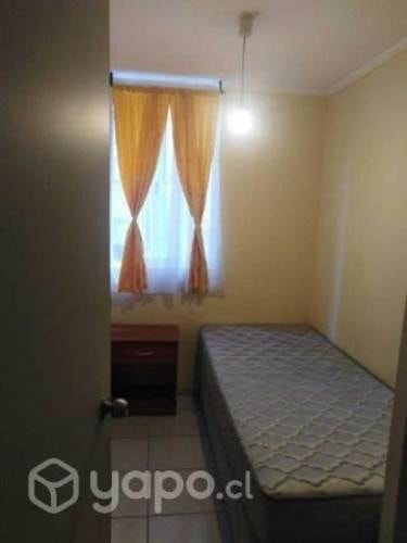 <p>Se arrienda pieza en departamento</p> image