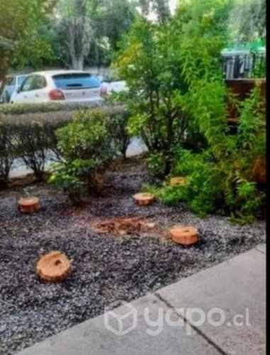 Imagen de galería