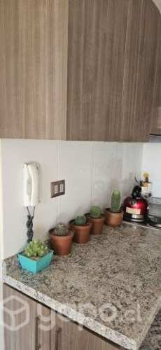 Imagen de galería