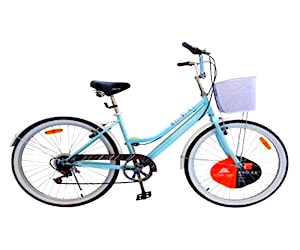 Bicicleta mujer aro 26 paseo flamante