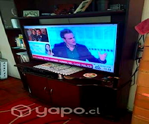 <p>Librero y TV</p>