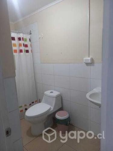Imagen de galería