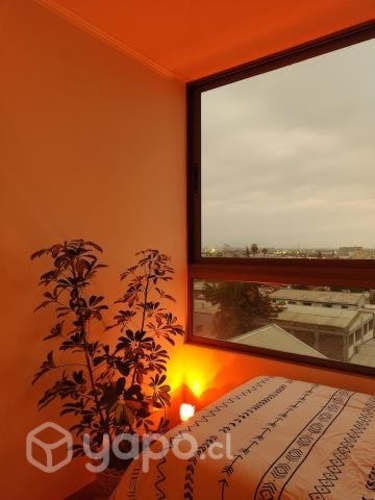 Imagen de galería
