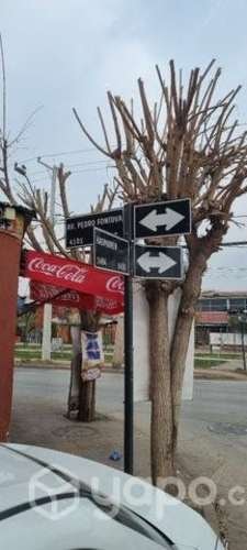 Imagen de galería