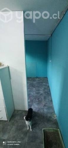 Imagen de galería