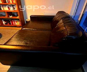 <p>Sillón de Cuero</p>