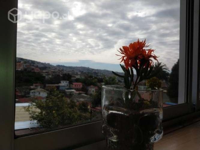 Imagen de galería