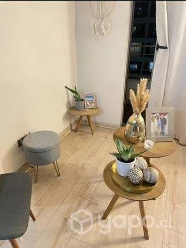 Imagen de galería