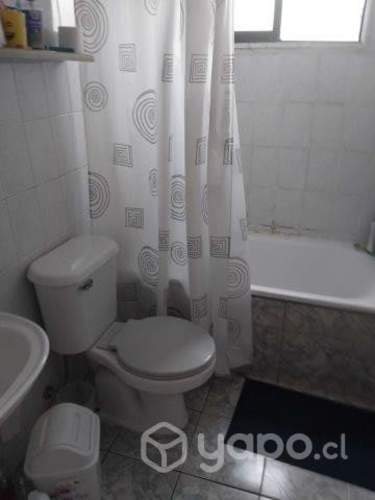 <p>Arriendo pieza amoblada en viña del mar</p>