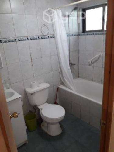 Imagen de galería