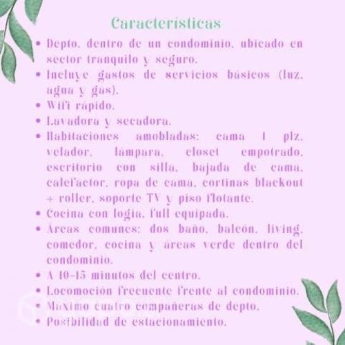 Imagen de galería