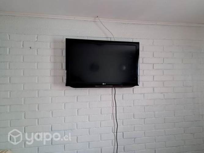 Imagen de galería