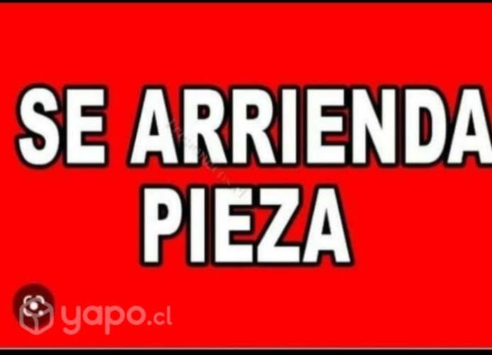 Imagen de galería