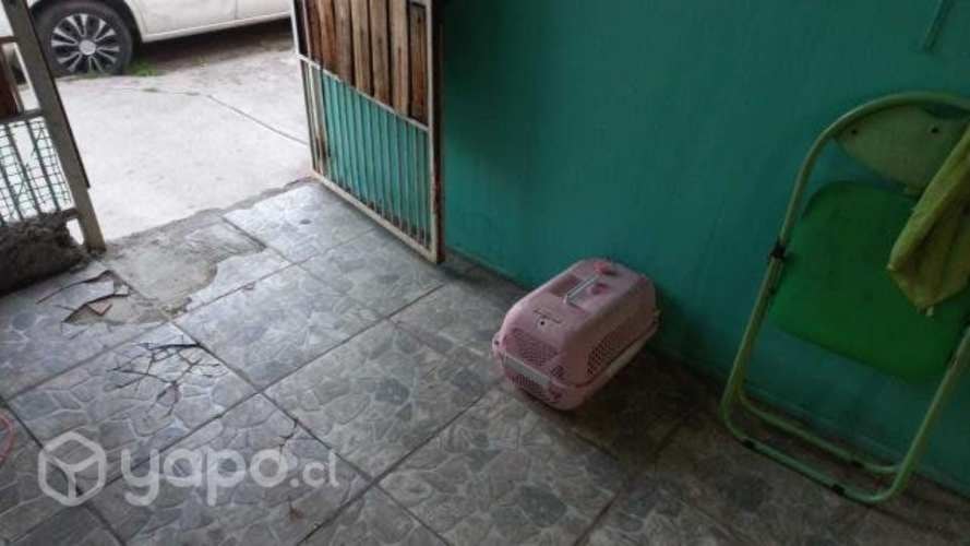 Imagen de galería