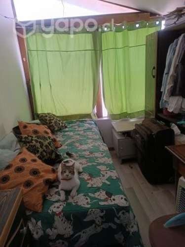 Imagen de galería