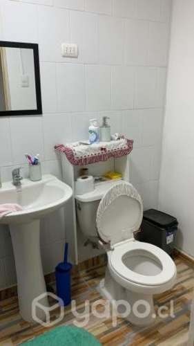 Imagen de galería