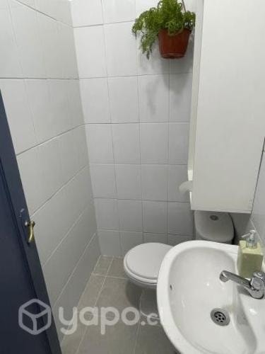Imagen de galería