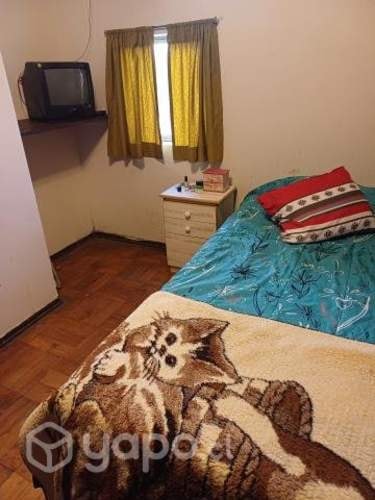 Imagen de galería