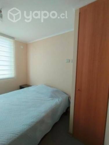 <p>Arrienda habitación</p> image
