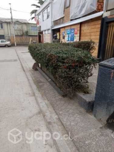 <p>Alquiler pieza</p>