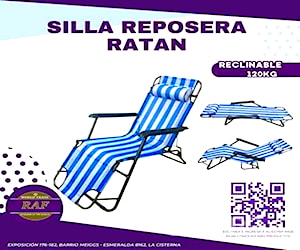 <p>Silla reposera ratan</p>