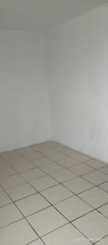 Imagen de galería