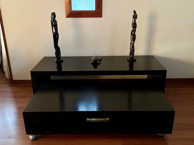 <p>Rack TV o muebles living</p>