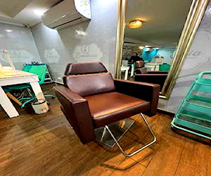 <p>SILLON PELUQUERIA Y MAQUILLAJE LEOMUEBLES</p>