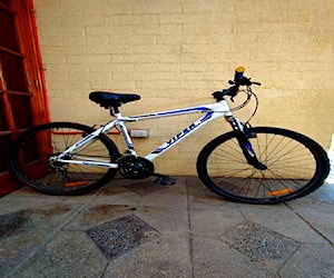 Bicicleta Fratta  modelo Viper