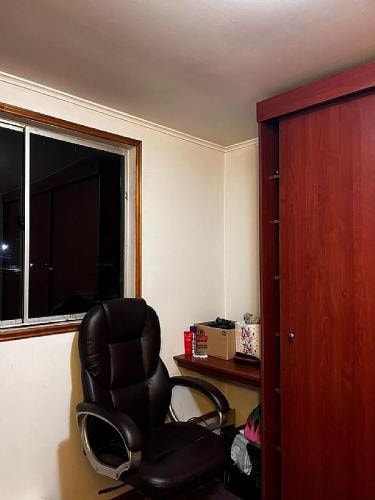 Imagen de galería