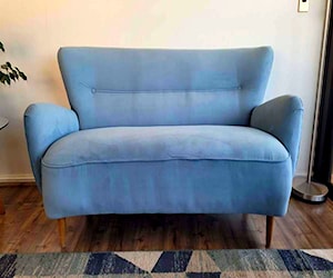 <p>Sofa Sonico Restaurado Felpa Precioso</p>