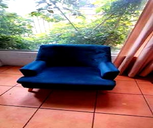 <p>Sillón sitial</p>