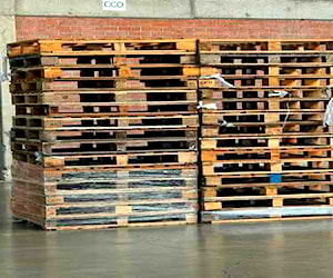 <p>Pallet Euro</p>