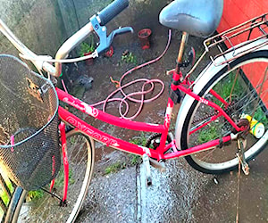 Bicicleta Oxford de mujer