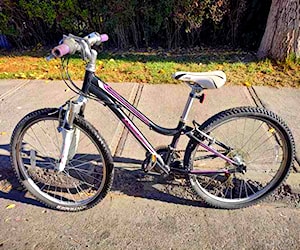 Bicicleta Trek 220 para niña, aro 24 buen estado