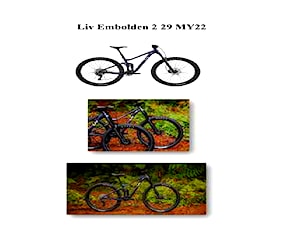 Vende bicicleta Liv Embolden