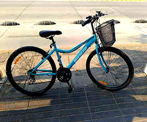 Vendo bicicleta