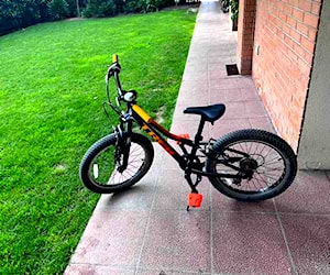 Bicicleta Niño Treck Aro 20