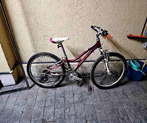 Bicicleta Niños Trek